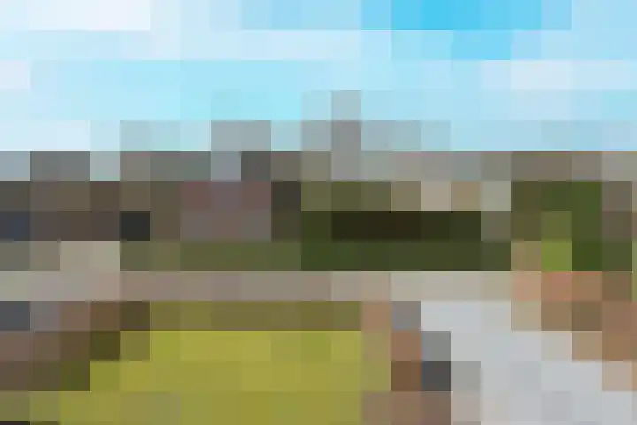 Eikenlaan 36 Dronten thumbnail 53