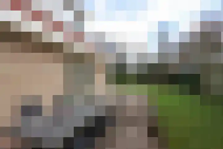 Eikenlaan 36 Dronten thumbnail 57