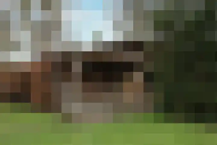 Eikenlaan 36 Dronten thumbnail 61