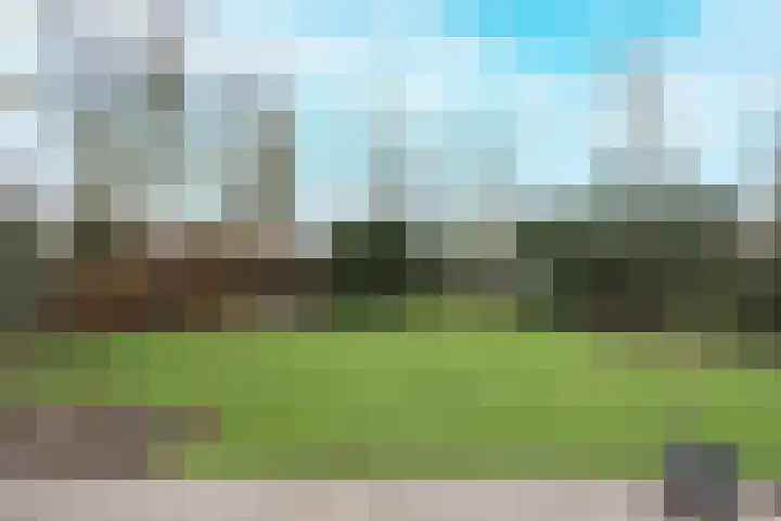 Eikenlaan 36 Dronten thumbnail 63