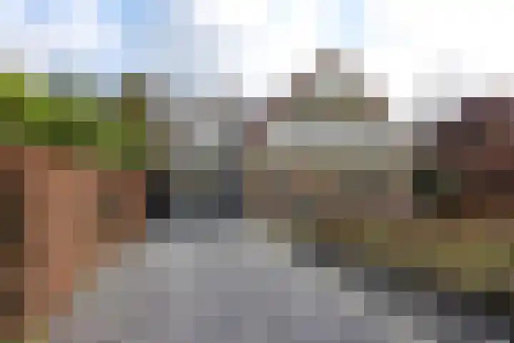 Eikenlaan 36 Dronten thumbnail 9