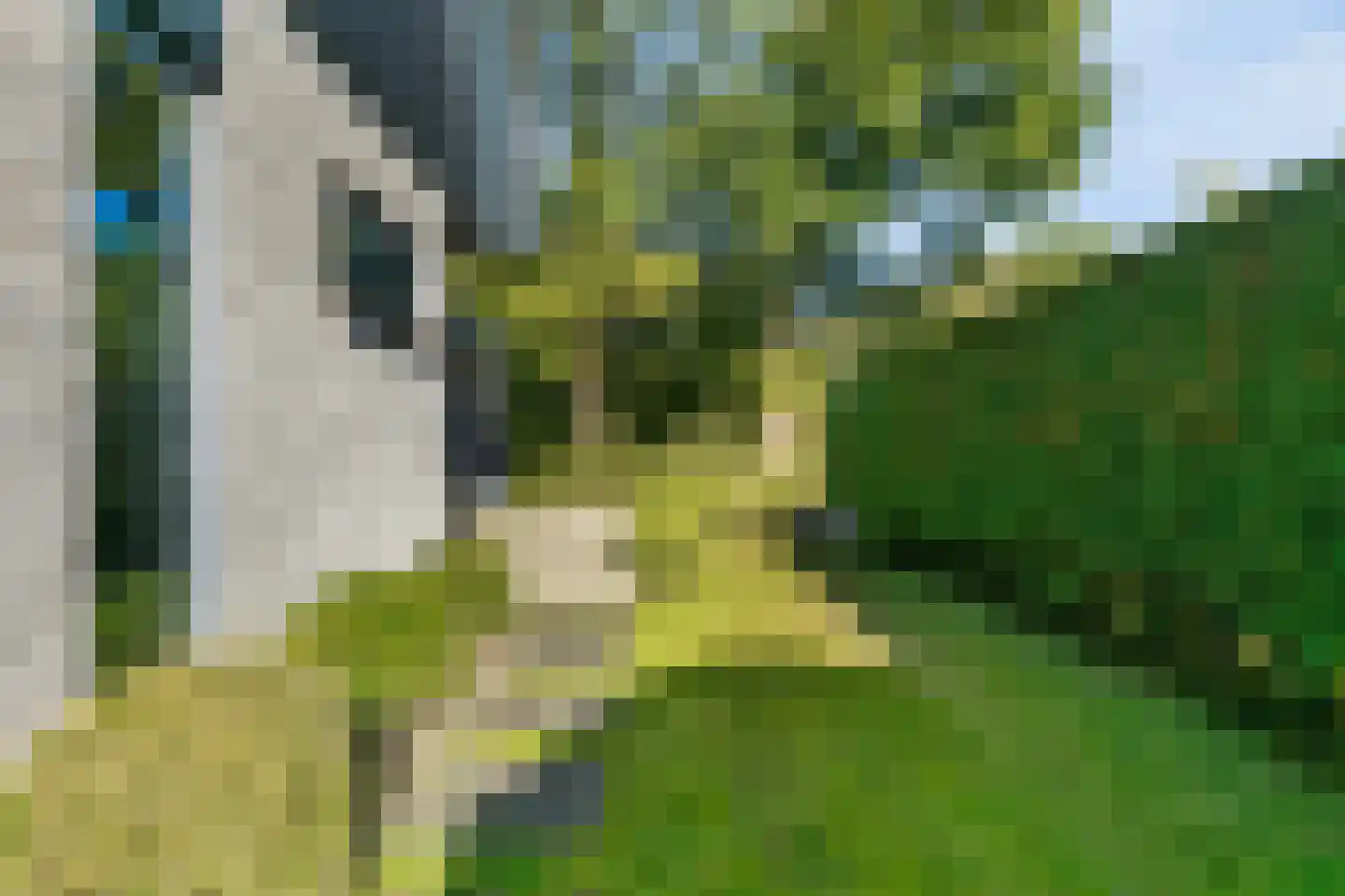 Eikenlaan 36 Oostkapelle thumbnail 34