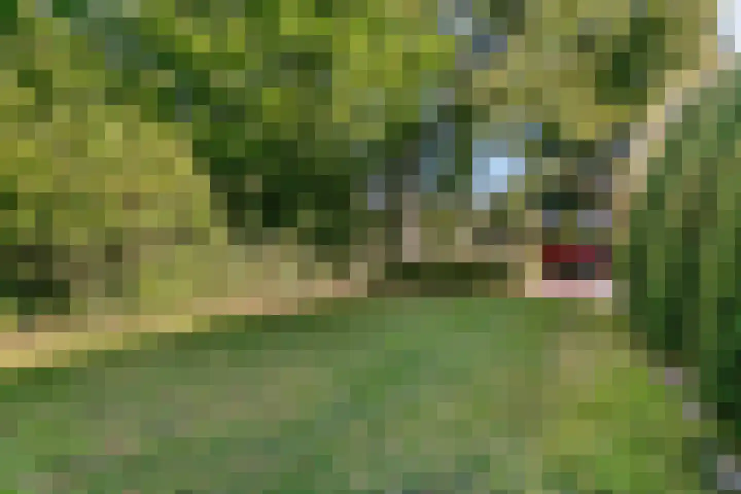 Eikenlaan 36 Oostkapelle thumbnail 36