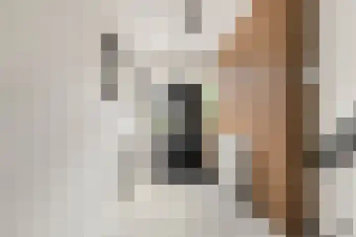 Eikenlaan 37 Zwanenburg thumbnail 11