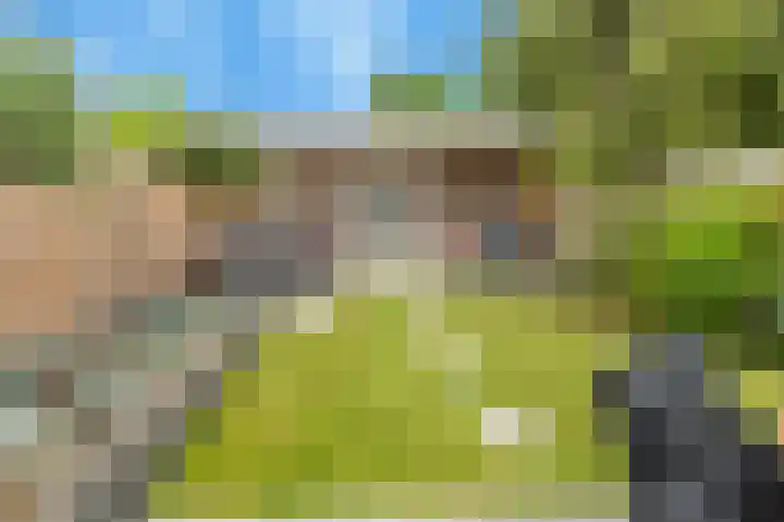 Eikenlaan 37 Zwanenburg thumbnail 27