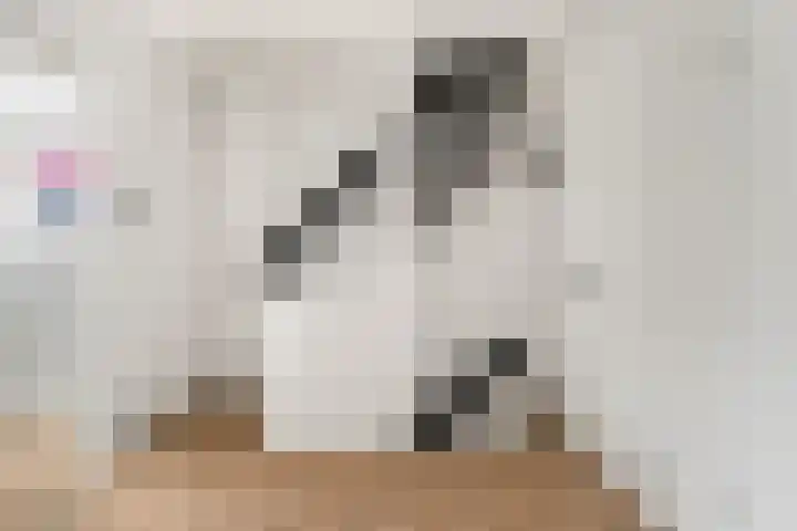 Eikenlaan 37 Zwanenburg thumbnail 32
