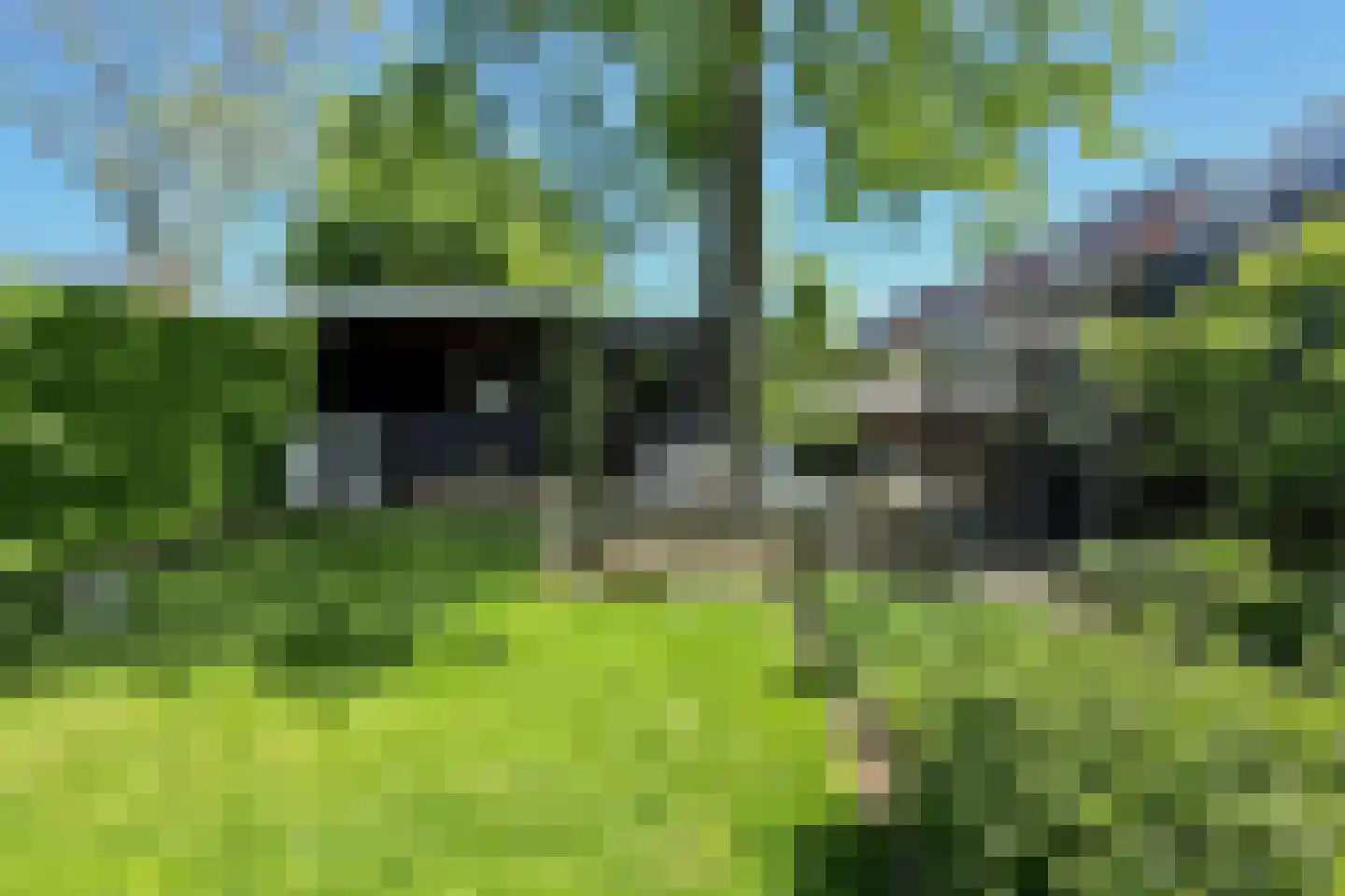 Eikenlaan 38 A Puttershoek thumbnail 11