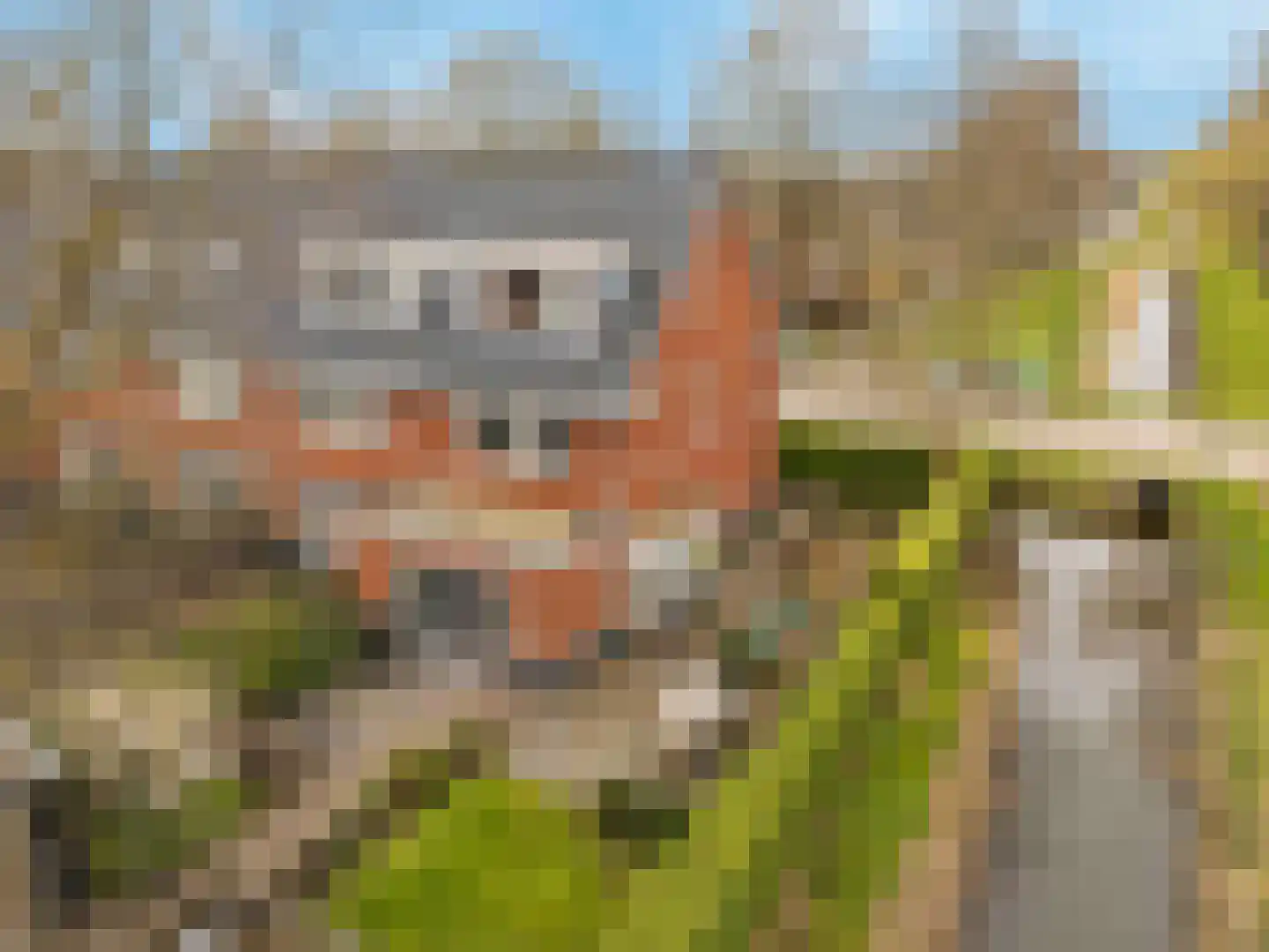 Eikenlaan 38 A Puttershoek thumbnail 4