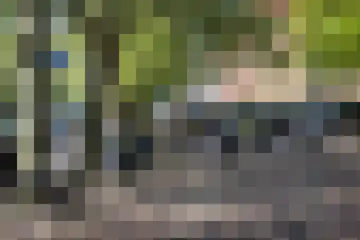 Eikenlaan 39 Heemstede thumbnail 25