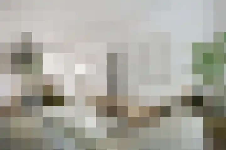 Eikenlaan 39 Heemstede thumbnail 5