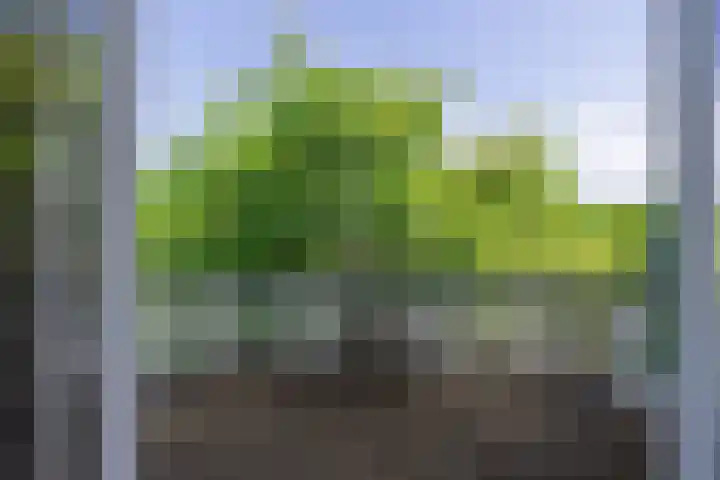 Eikenlaan 4 A Bussum thumbnail 14