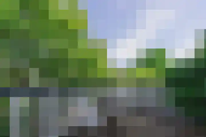 Eikenlaan 4 A Bussum thumbnail 15