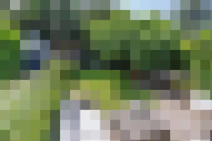 Eikenlaan 4 A Bussum thumbnail 25