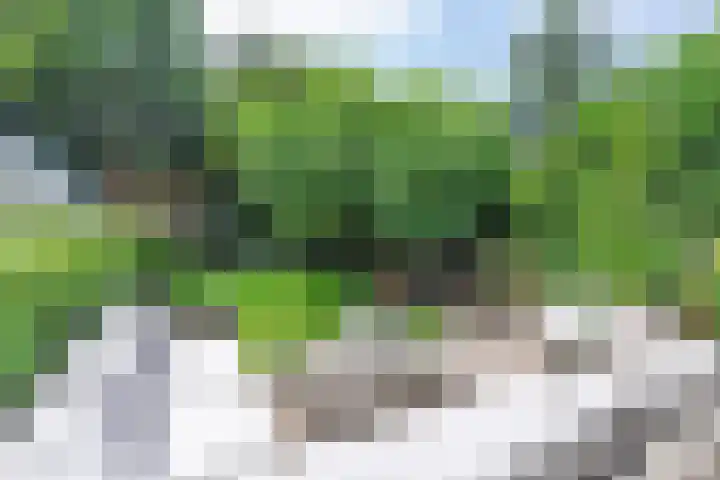 Eikenlaan 4 A Bussum thumbnail 27