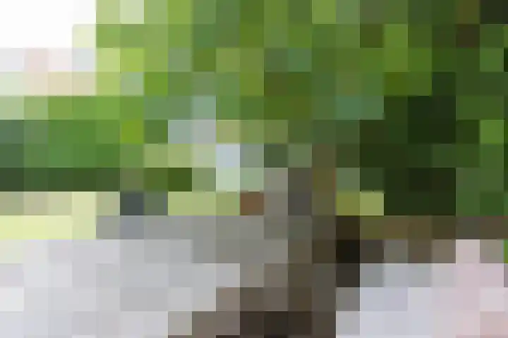 Eikenlaan 4 A Bussum thumbnail 28
