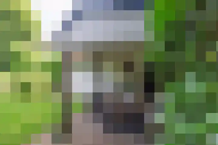 Eikenlaan 4 A Bussum thumbnail 29