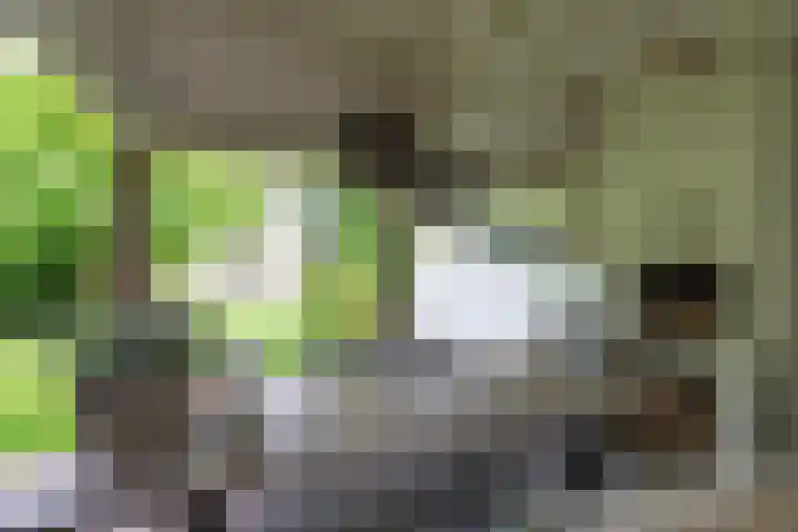 Eikenlaan 4 A Bussum thumbnail 30