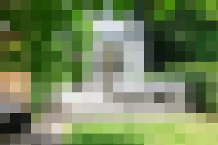 Eikenlaan 4 A Bussum thumbnail 31