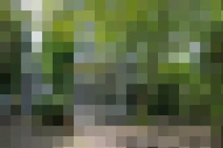 Eikenlaan 4 A Bussum thumbnail 41