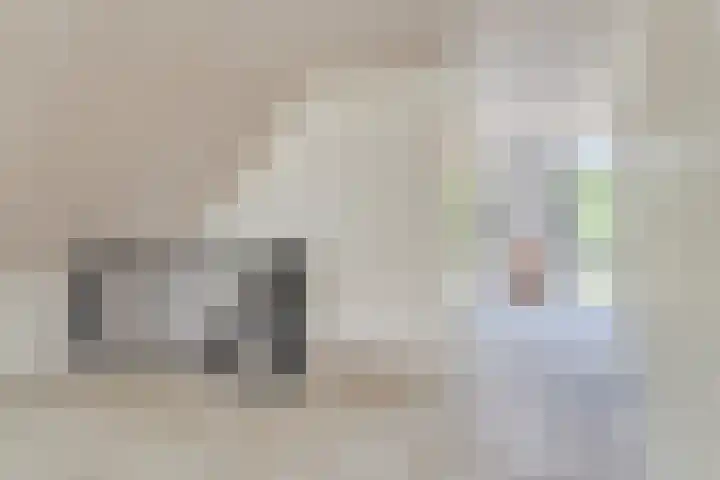 Eikenlaan 4 d Bellingwolde thumbnail 22