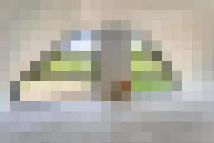 Eikenlaan 4 d Bellingwolde thumbnail 23