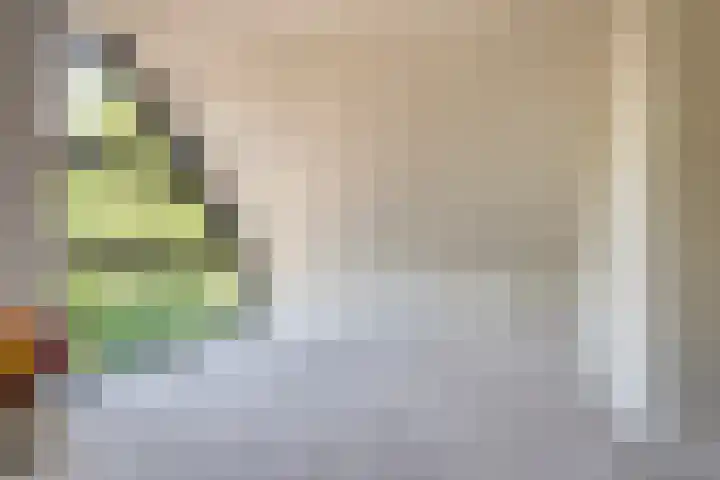 Eikenlaan 4 d Bellingwolde thumbnail 24