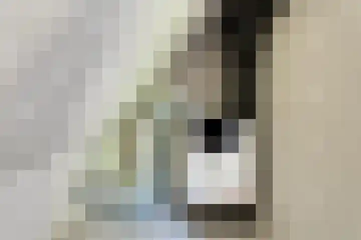Eikenlaan 4 d Bellingwolde thumbnail 28