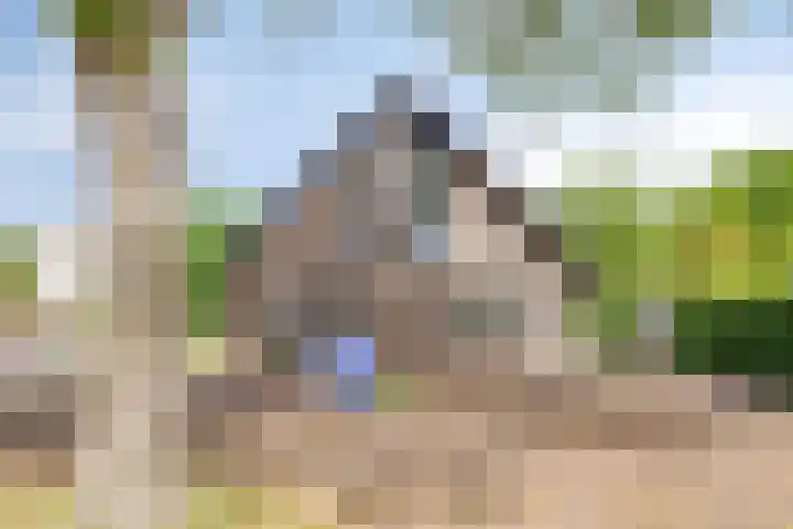 Eikenlaan 4 d Bellingwolde thumbnail 30