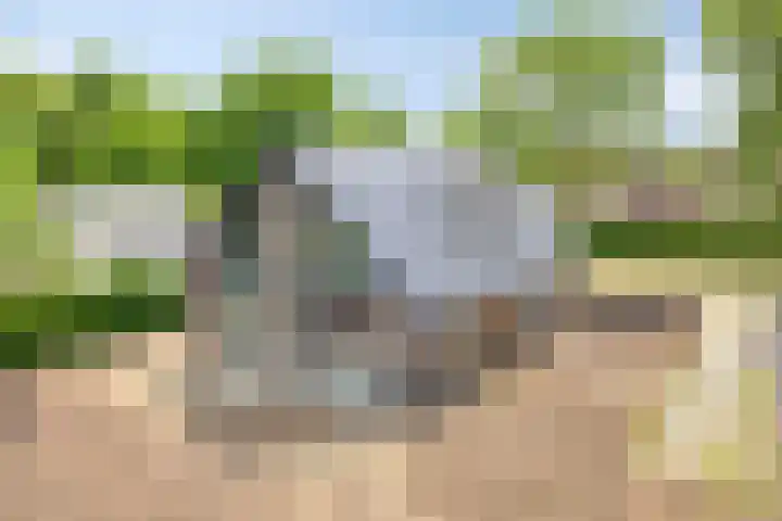 Eikenlaan 4 d Bellingwolde thumbnail 31