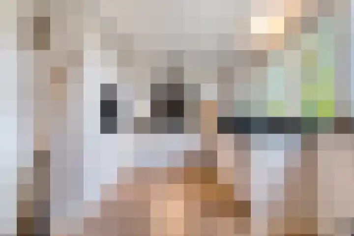 Eikenlaan 4 Nieuwleusen thumbnail 10