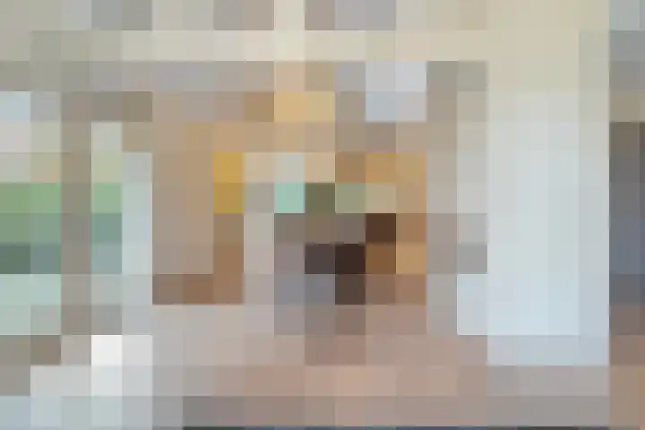 Eikenlaan 4 Nieuwleusen thumbnail 14