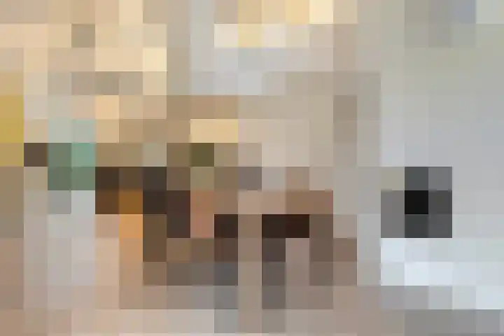 Eikenlaan 4 Nieuwleusen thumbnail 15