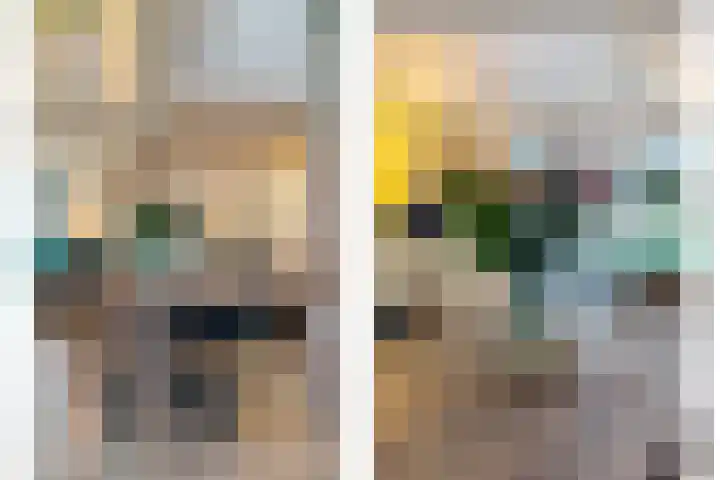 Eikenlaan 4 Nieuwleusen thumbnail 16