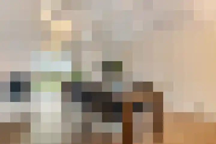 Eikenlaan 4 Nieuwleusen thumbnail 17