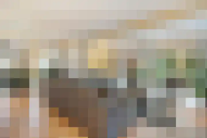 Eikenlaan 4 Nieuwleusen thumbnail 18