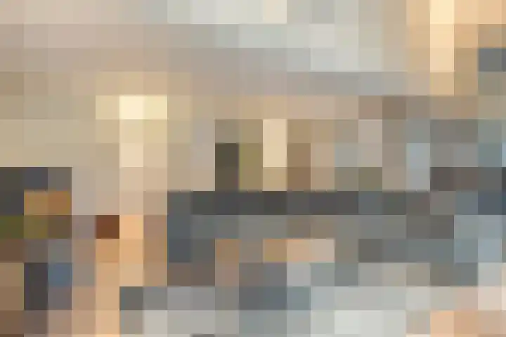 Eikenlaan 4 Nieuwleusen thumbnail 19