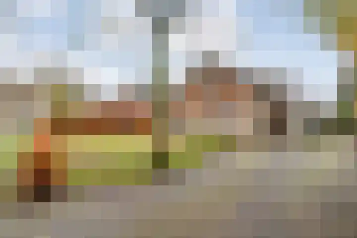Eikenlaan 4 Nieuwleusen foto 2