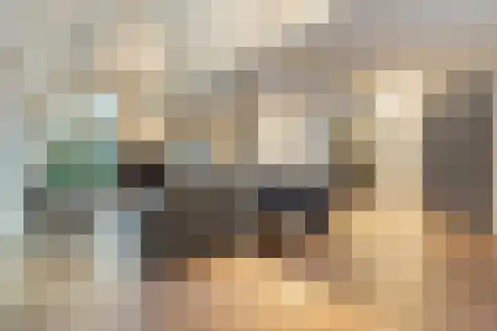 Eikenlaan 4 Nieuwleusen thumbnail 21