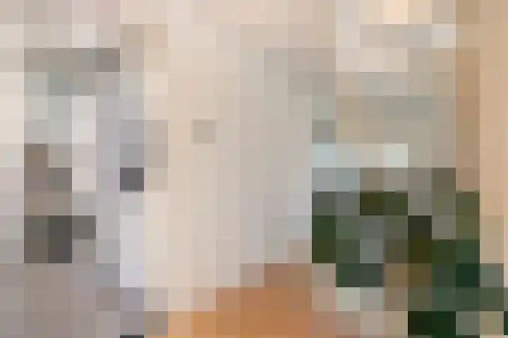 Eikenlaan 4 Nieuwleusen thumbnail 24