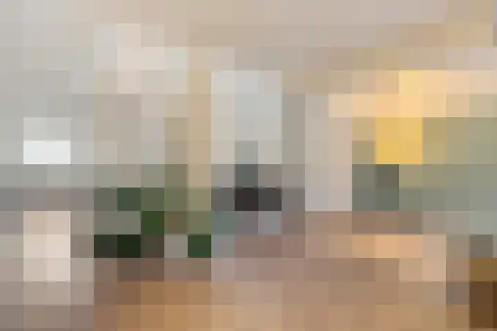 Eikenlaan 4 Nieuwleusen thumbnail 25
