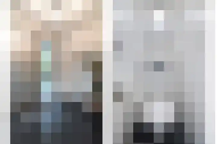 Eikenlaan 4 Nieuwleusen thumbnail 26