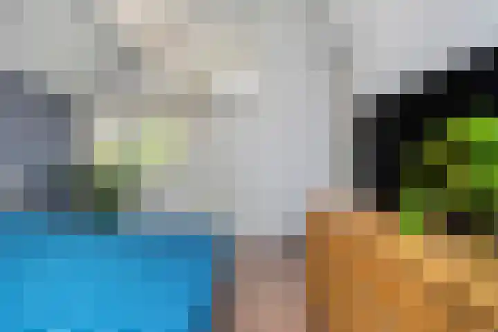 Eikenlaan 4 Nieuwleusen thumbnail 28