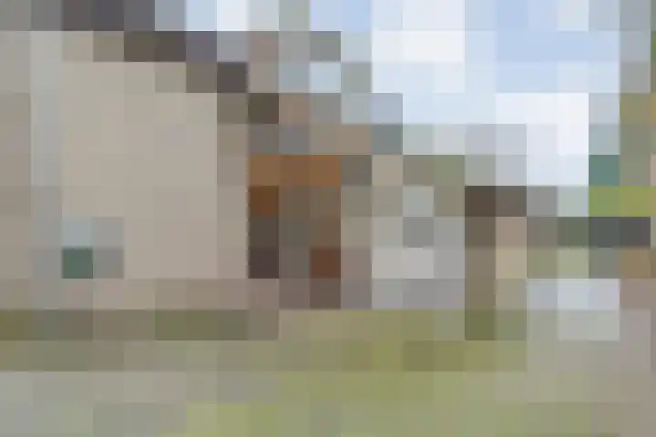 Eikenlaan 4 Nieuwleusen foto 3