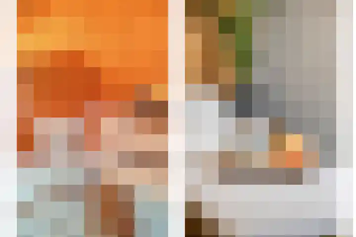 Eikenlaan 4 Nieuwleusen thumbnail 32