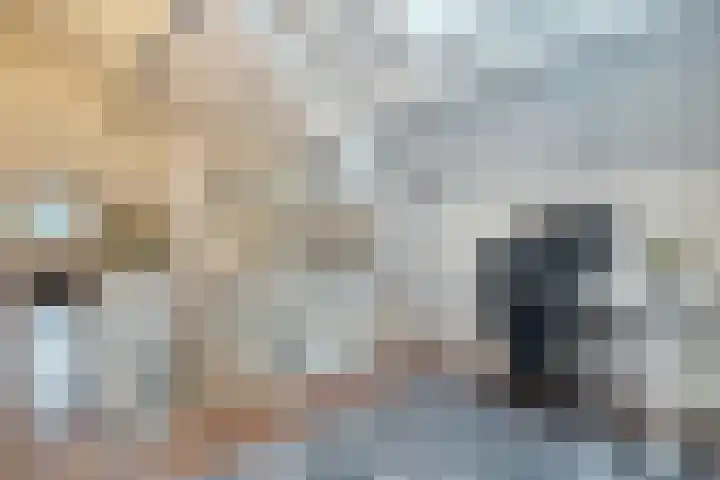 Eikenlaan 4 Nieuwleusen thumbnail 34