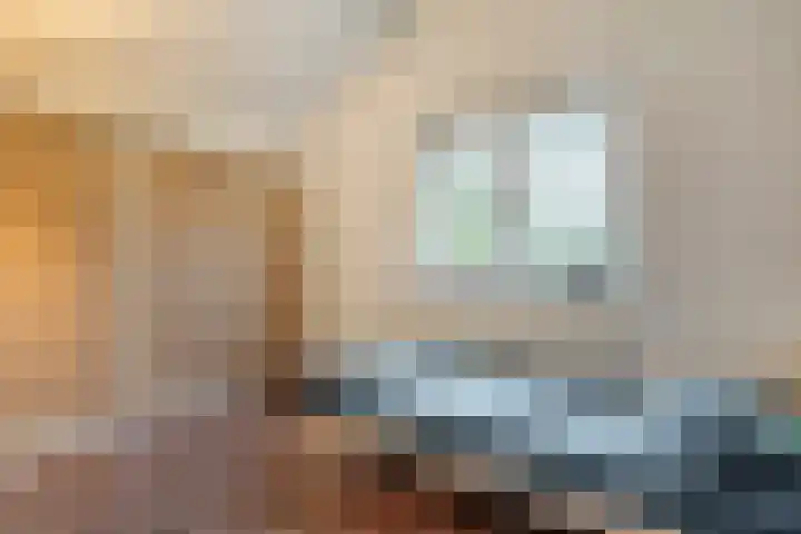 Eikenlaan 4 Nieuwleusen thumbnail 35