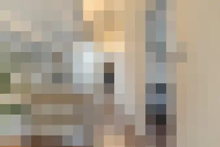 Eikenlaan 4 Nieuwleusen thumbnail 37
