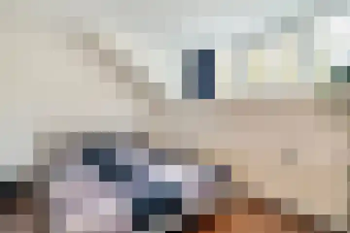 Eikenlaan 4 Nieuwleusen thumbnail 38