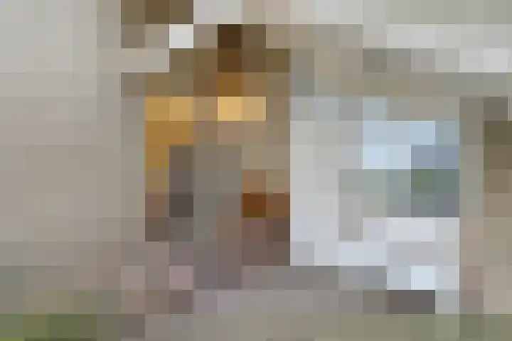 Eikenlaan 4 Nieuwleusen thumbnail 4