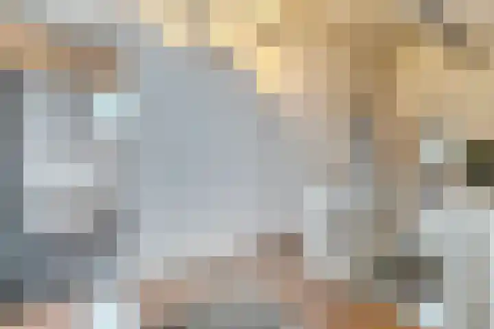 Eikenlaan 4 Nieuwleusen thumbnail 40